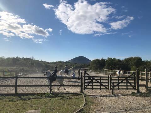 Letterfrack Farmhouse On Equestrian Farm In Letterfrack Beside Connemara National Park Tullywee Bridge エクステリア 写真