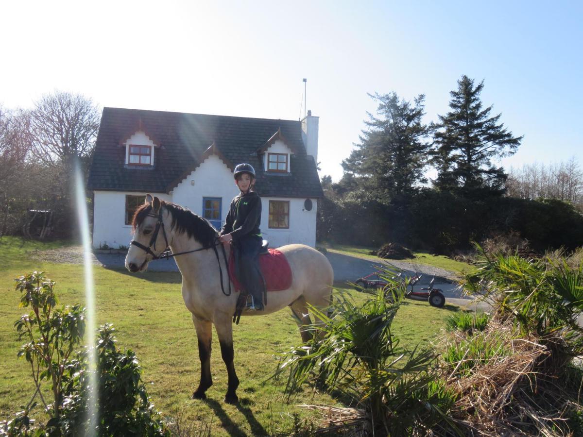Letterfrack Farmhouse On Equestrian Farm In Letterfrack Beside Connemara National Park Tullywee Bridge エクステリア 写真