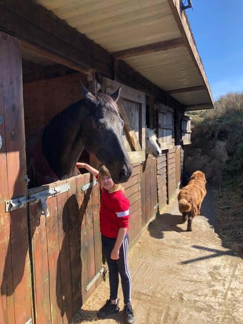 Letterfrack Farmhouse On Equestrian Farm In Letterfrack Beside Connemara National Park Tullywee Bridge エクステリア 写真