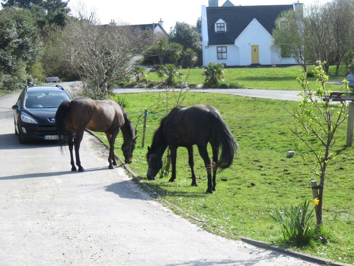 Letterfrack Farmhouse On Equestrian Farm In Letterfrack Beside Connemara National Park Tullywee Bridge エクステリア 写真